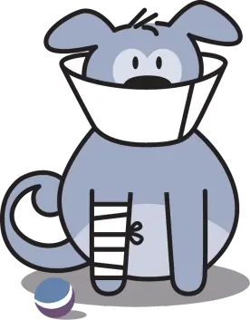 Dog with cone and bandage graphic